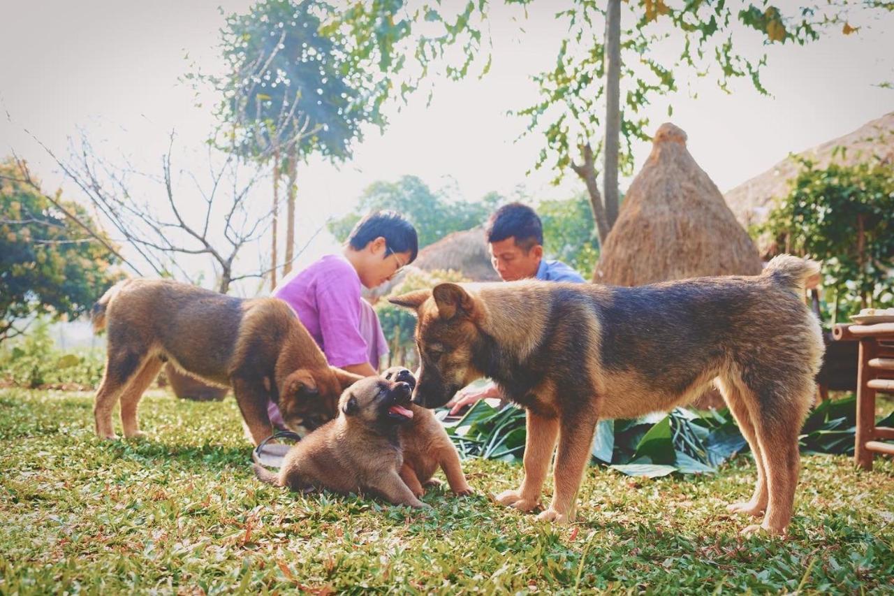 Mai Chau Valley Retreat Kültér fotó